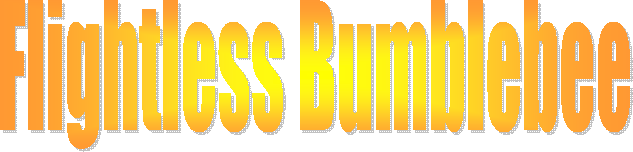 Flightless Bumblebee